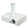 NeoMounts BEAMER-C80 - Brakett - full bevegelse - for projektor - hvit - takmonterbar