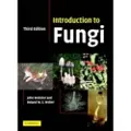 CAMBRIDGE UNIVERSITY PRESS Introduction to Fungi