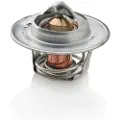 VETUS M4.15/17 77° Termostat