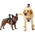 GoPro Fetch Dog Harness Støtte