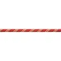 BEAL Ice Line Golden Dry 8.1 Mm Tau
