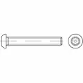 Lemvigh-Muller M6X20 ISO 7380 A2 pin/torx button head - (100 stk.)
