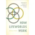 THE UNIVERSITY OF CHICAGO PRESS How Lifeworlds Work
