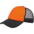 Taimen Logo 1 Cap