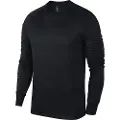Nike Therma Academy Crew Collegegenser