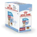Royal Canin Karma SHN Medium Puppy w sosie 10x140g