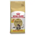 Royal Canin 10 + 2 kg gratis! 12 kg Royal Canin Feline - Maine Coon
