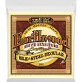 Ernie Ball Earthwood 2043 Silk & Steel Regular Set