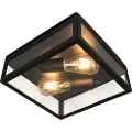 QAZQA Industriell utendørs taklampe sort 2-lys - Rotterdam