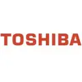 Toshiba Developer svart