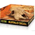 Exo Terra BUFFEL SKULLE DEKORERING