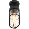 QAZQA Rustikk utendørs taklampe sort med glass IP44 - Elza