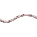 Mammut 10.0 Performance Static Tau