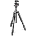 Manfrotto Befree GT MKBFRTA4GT-BH - Tripod - med Manfrotto 496 Center Ball head