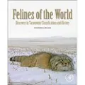 ELSEVIER SCIENCE PUBLISHING CO INC Felines of the World