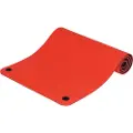 Pure 2 Improve Pure P2I TPE MAT 173x61cm treningsmatte