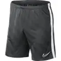 Nike Dry Academy 19 Shorts