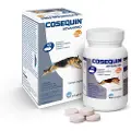 Ecuphar Cosequin Advance Msm Ha 40cpd Kosttilskudd For Hund
