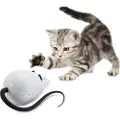 Frolicat Rolorat Katteleke