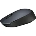 Logitech M170 - Mus - trådløs - 2.4 GHz - USB trådløs mottaker