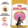 Royal Canin Økonomipakke: 2 store poser Royal Canin kattefôr - Maine Coon Kitten (2 x 10 kg)