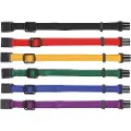 Trixie Junior Set of puppy collars S-M: 17-25 cm/10 mm 6 pcs. black red royal blue apple papaya orchid