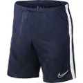 Nike Dry Academy 19 Shorts
