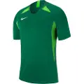 Nike Dri Fit Striker V Kortarmet T-skjorte