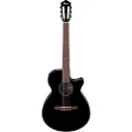 Ibanez AEG50N Black High Gloss