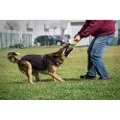 Julius-K9 Motiverende Bomull 2 Håndtak