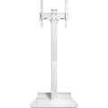 Multibrackets M - Stativ - for interaktiv whiteboard - hvit - skjermstørrelse: 42 - monteringsgrensesnitt: 400 x 400 mm - plassering på gulv
