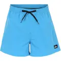 Quiksilver Everyday Volley 15 Boardshorts mønster