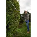 Ryobi RPT4545E - Forlængbar hækkeklipper - elektrisk - 450 W - 3400 opm - 45 cm - Skærekapacitet 20 mm - 4.1 kg