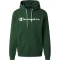 Champion 214743 Hettegenser