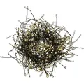 Eurolite Lampki choinkowe Eurolite Eurolite 50499260 Lyskæde (bundt) Indvendigt/udvendigt via strømdrift Antal pærer 500 LED (RGB)