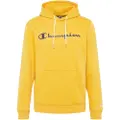 Champion 214743 Hettegenser