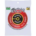 Martin MA170T LifeSpan 2.0 80/20 Bronze Extra Light 10-47