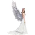 Nemesis Now Anne Stokes Åndeguidefigur 24 Cm
