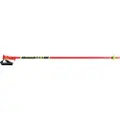LEKI Racing Junior Staver