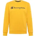 Champion 214744 Collegegenser