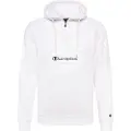 Champion 214746 Hettegenser