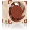 Noctua NF-A4x20 5V PWM - Kabinettvifte - 40 mm