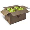 Wilson Triniti Club Tennisballboks 72 Enheter