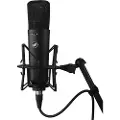 Warm Audio Wa 87r2b Mikrofon