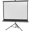 Celexon Economy tripod screen - Projeksjonsskjerm med tripod - 87 (221 cm) - 4:3