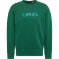 Levi's Relaxed T2 Graphic Crew Collegegenser