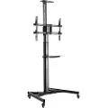 Ewent Ew1540 37-70´´ Max 50kg Tv-feste