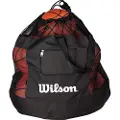 Wilson All Sports Ballpose