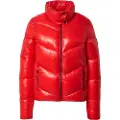 Superdry Polstret Brooklyn-jakke