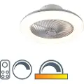 QAZQA Takvifte sølv 55,5 cm inkl. LED dimbar med fjernkontroll - Clima